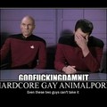 Hardcore gay animalporn