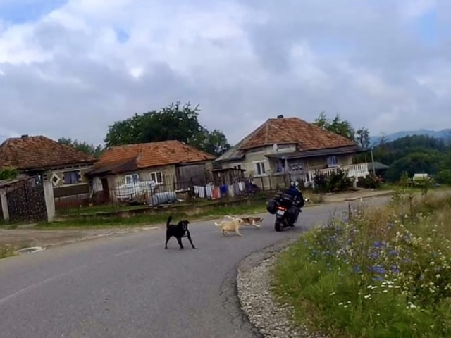 Bihari csöves túra 3. "Fogy a benzin Tesó!"