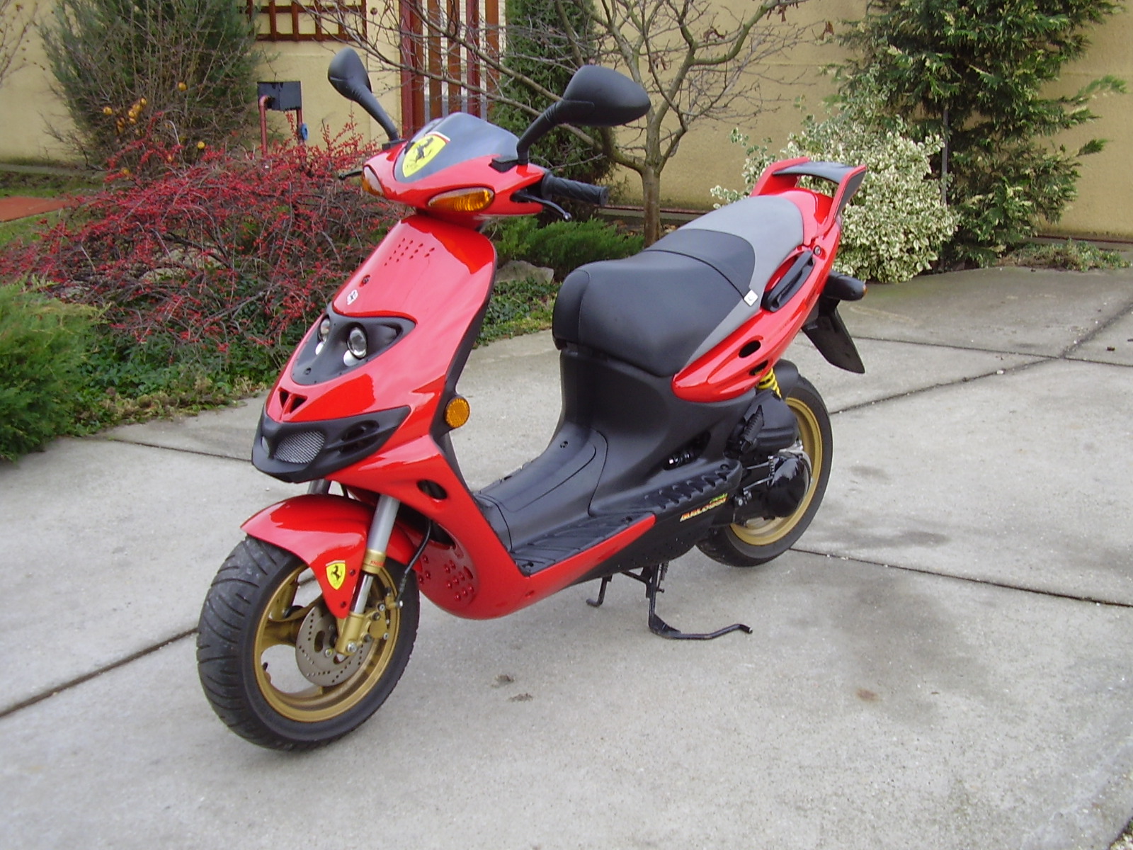 suzuki03.jpg