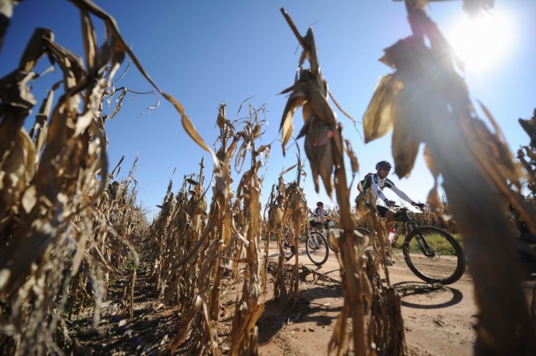 joberg2c mtb maraton 14.jpg