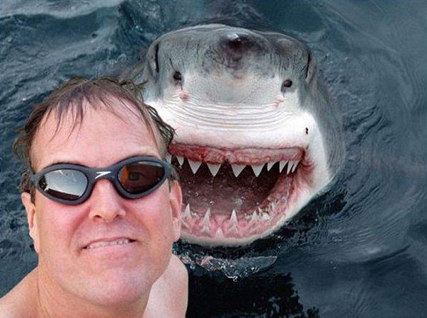 20_-shark-selfie.jpg