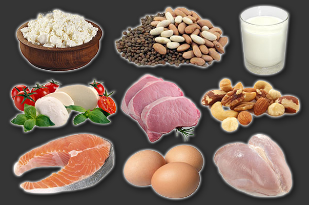 protein-rich-foods-mtb_1.jpg