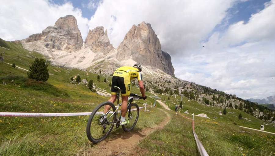 sellarondahero2016.jpg