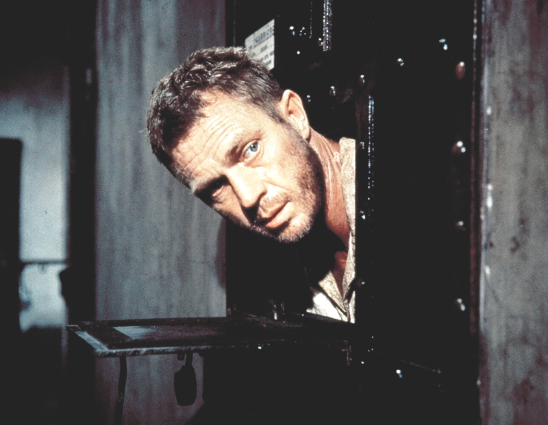 papillon02_2.jpg