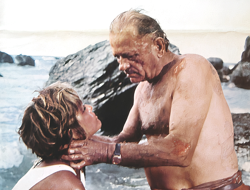 papillon05_2.jpg