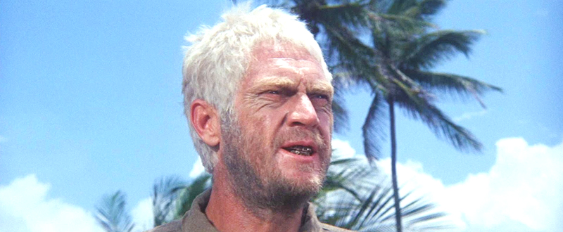 papillon15_2.jpg