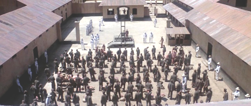 papillon16_2.jpg
