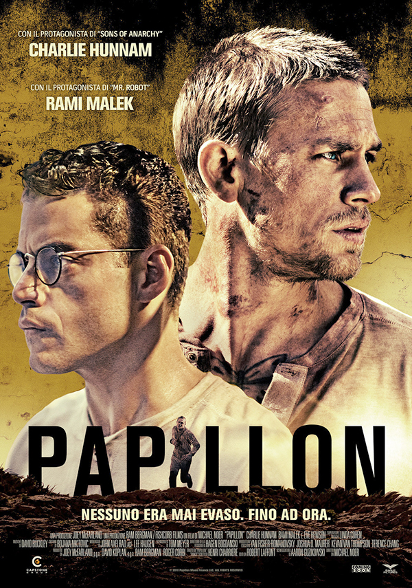 papillon19_1.jpg