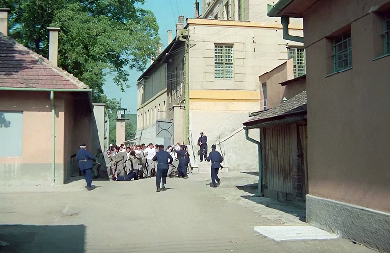 szarvas06.jpg