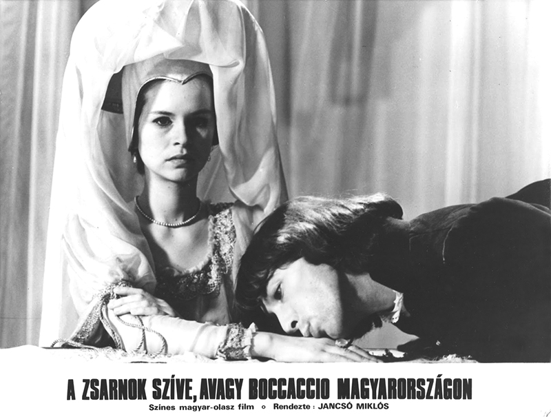 vitrin01.jpg