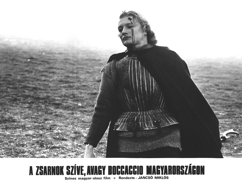vitrin05.jpg
