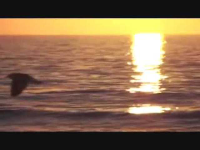 Napi Filmbetétdal: Alexi Murdoch - All My Days ( Vasököl )