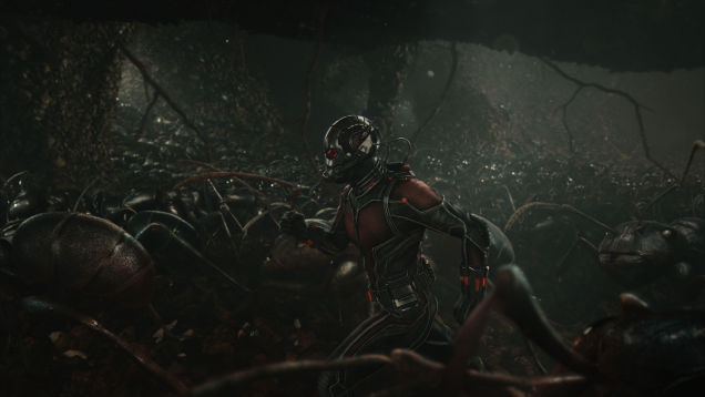 antman2.jpg