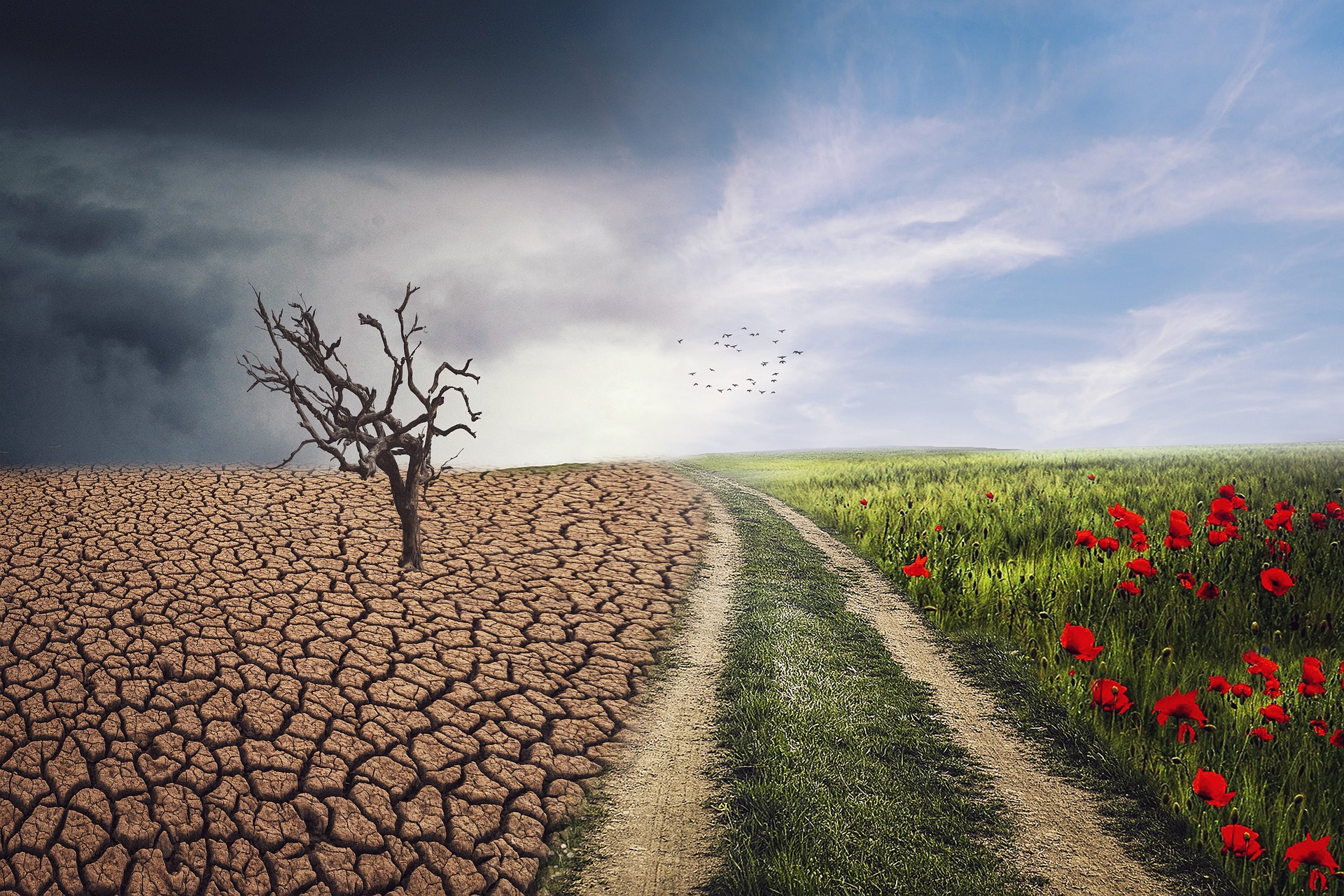 pxclimateaction-gd72d6d6e5_1920.jpg