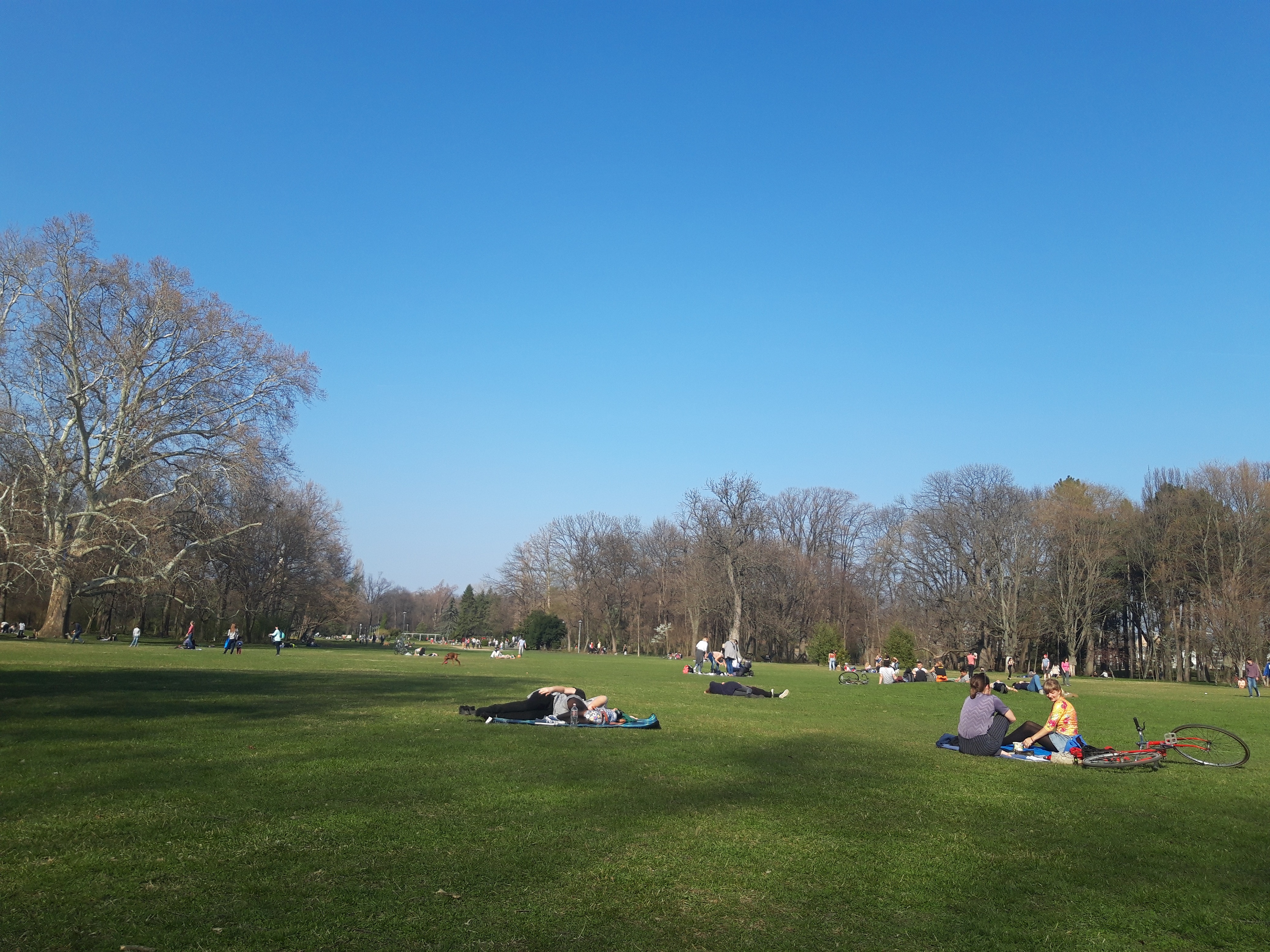20190323_144349.jpg