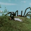 A '70-es évek – white trash, blaxploitation és a többiek #14: The Giant Spider Invasion