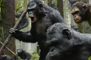 Brutális háború a Majmok bolygóján