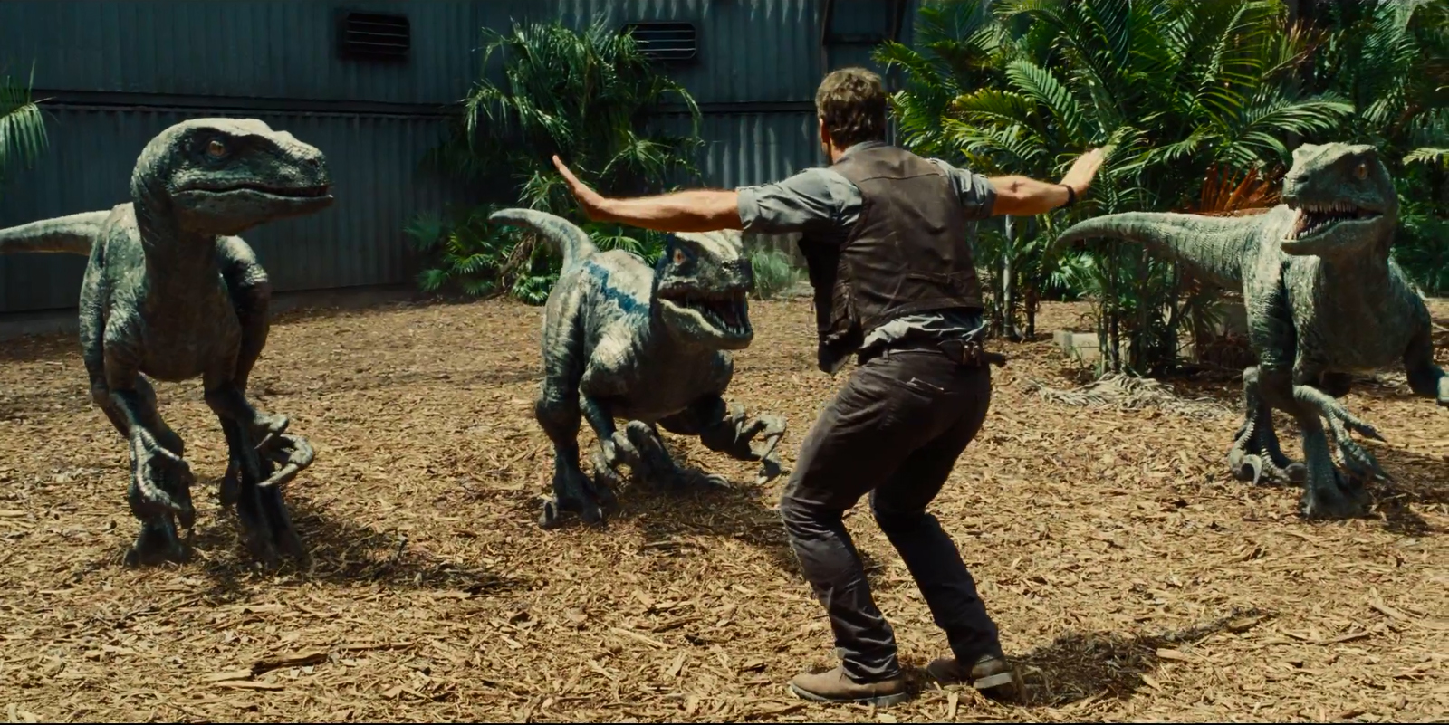 chris-pratt-velociraptor-jurassic-world.jpg