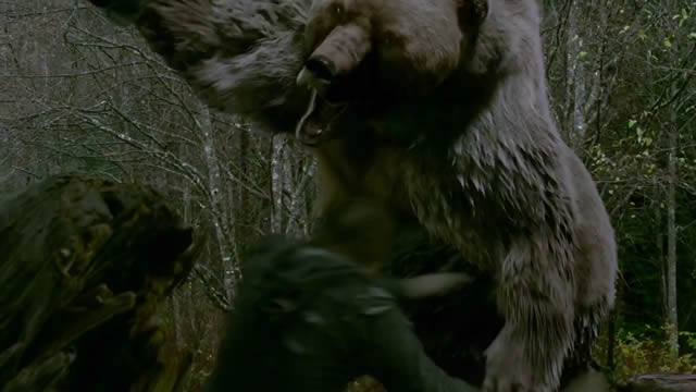 into-the-grizzly-maze-trailer.jpg