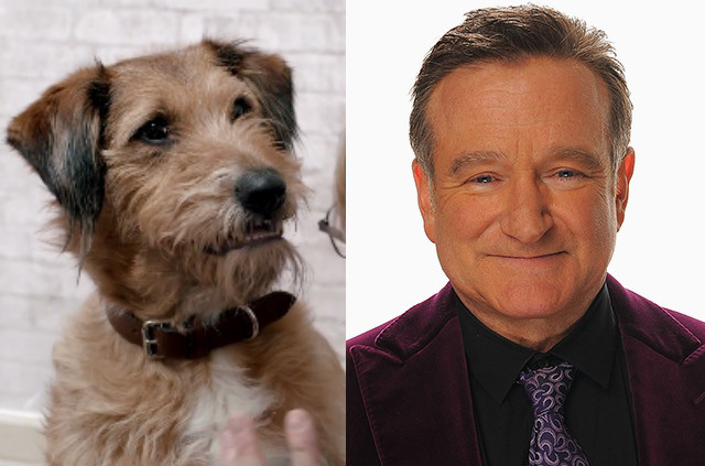 robin-williams-dennis-the-dog-absolutely-anything.jpg