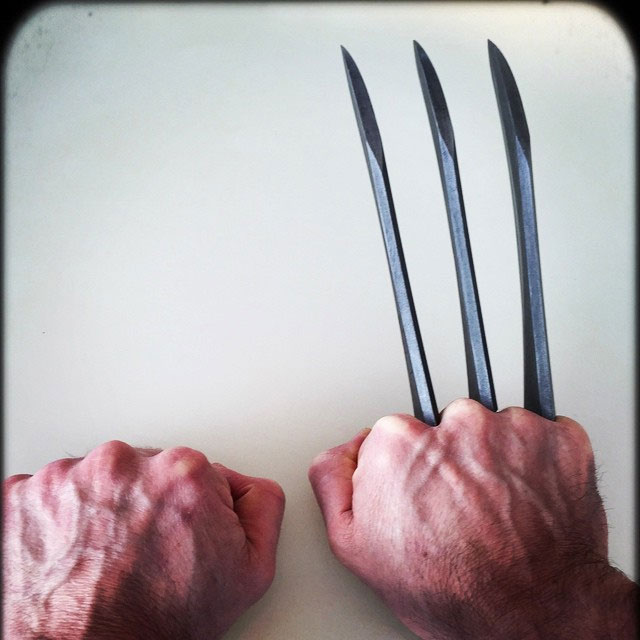 wolverine.jpg