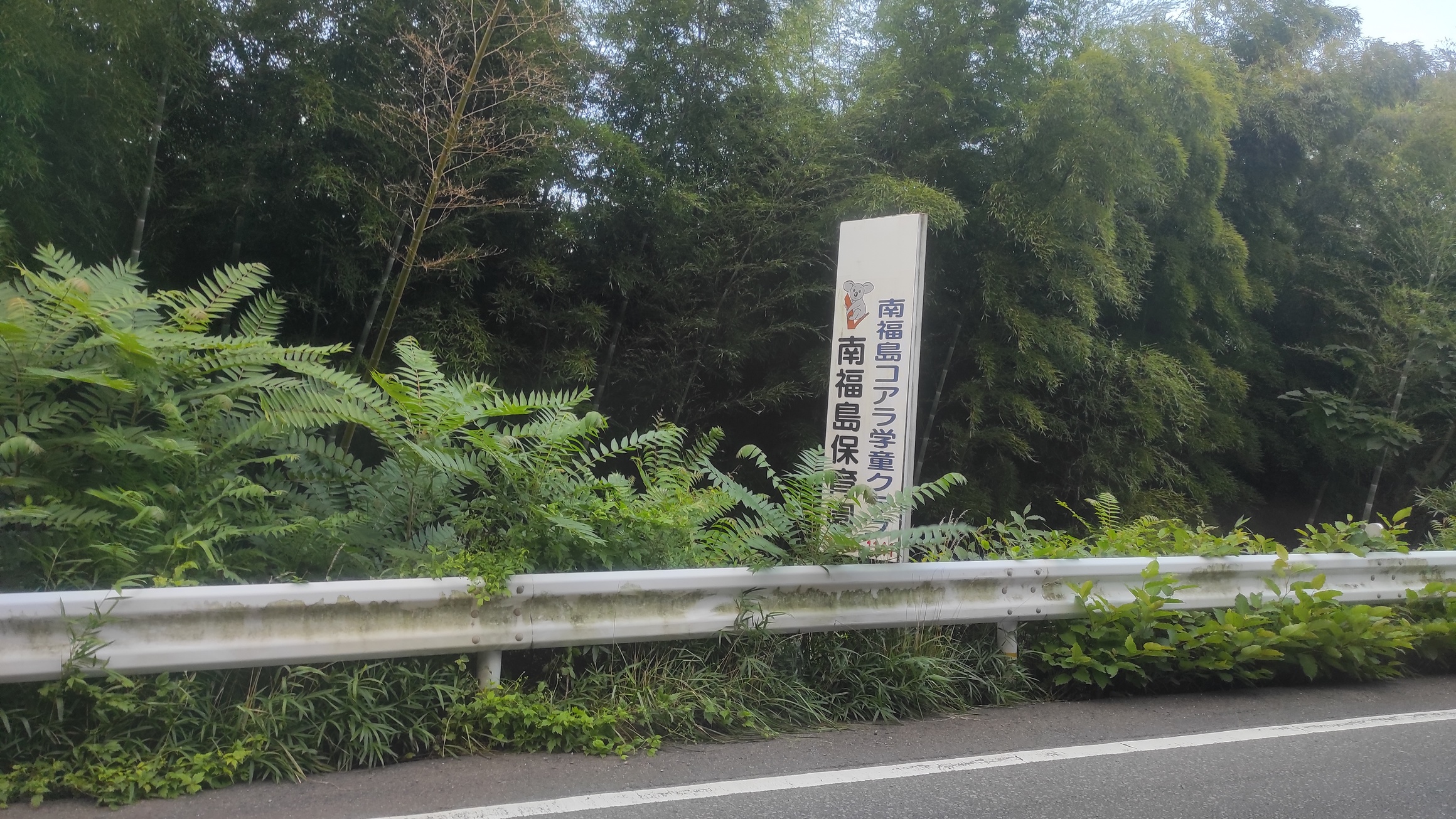 img_20240801_180127.jpg