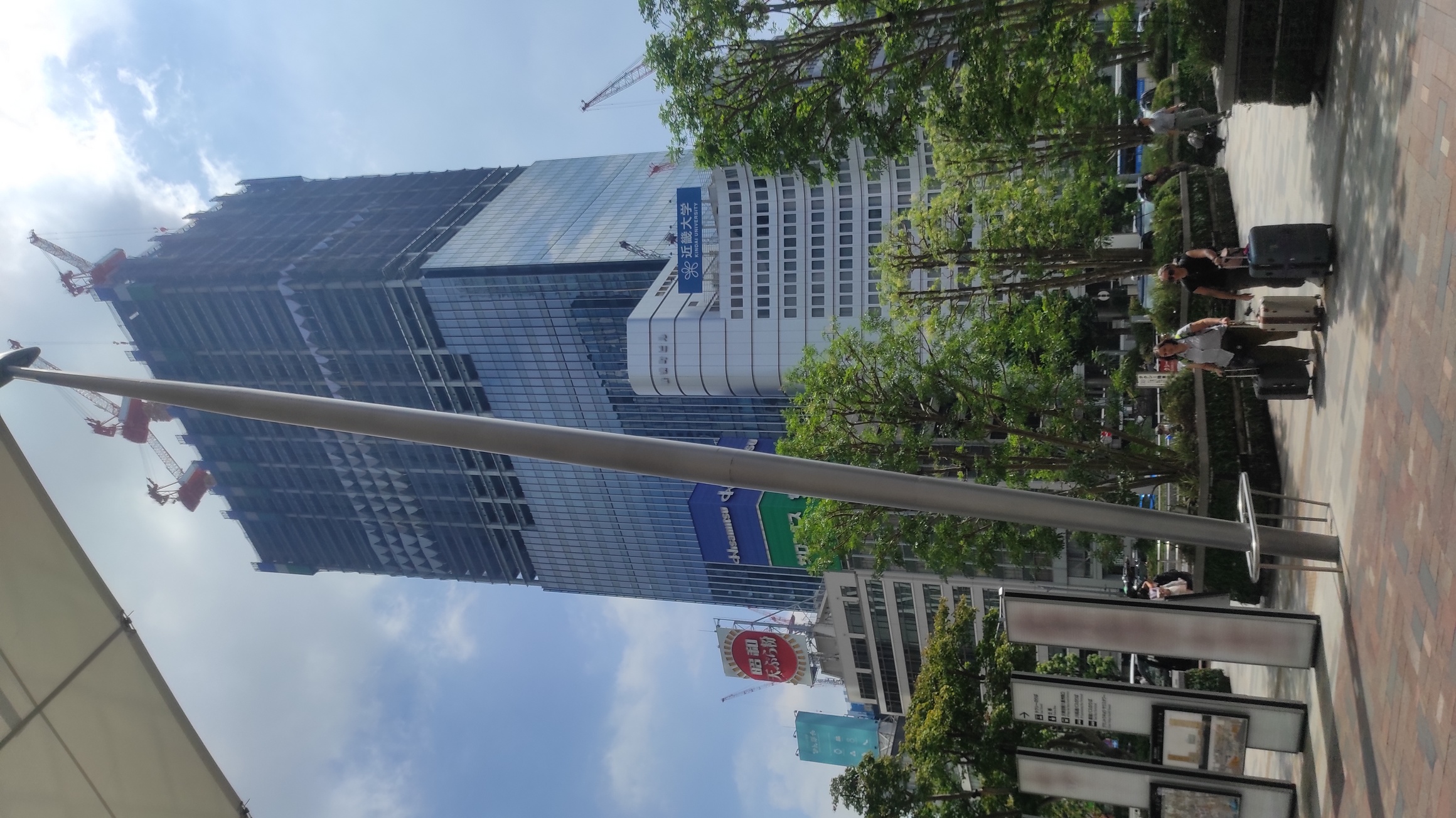 img_20240803_095634.jpg