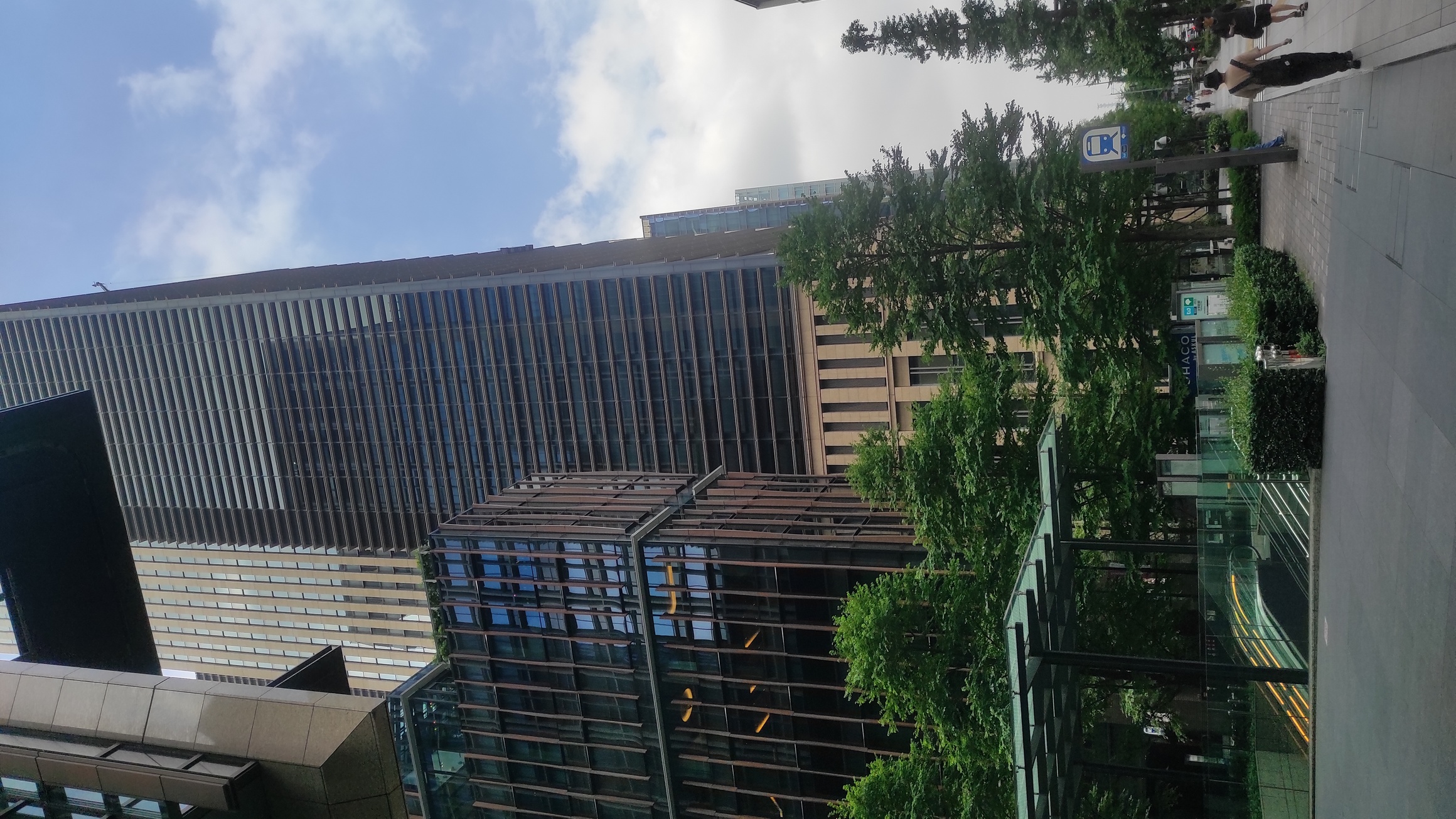 img_20240803_101958.jpg