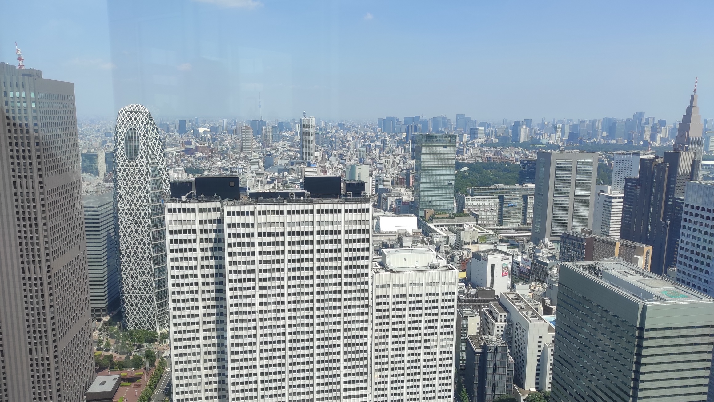 img_20240803_130717.jpg