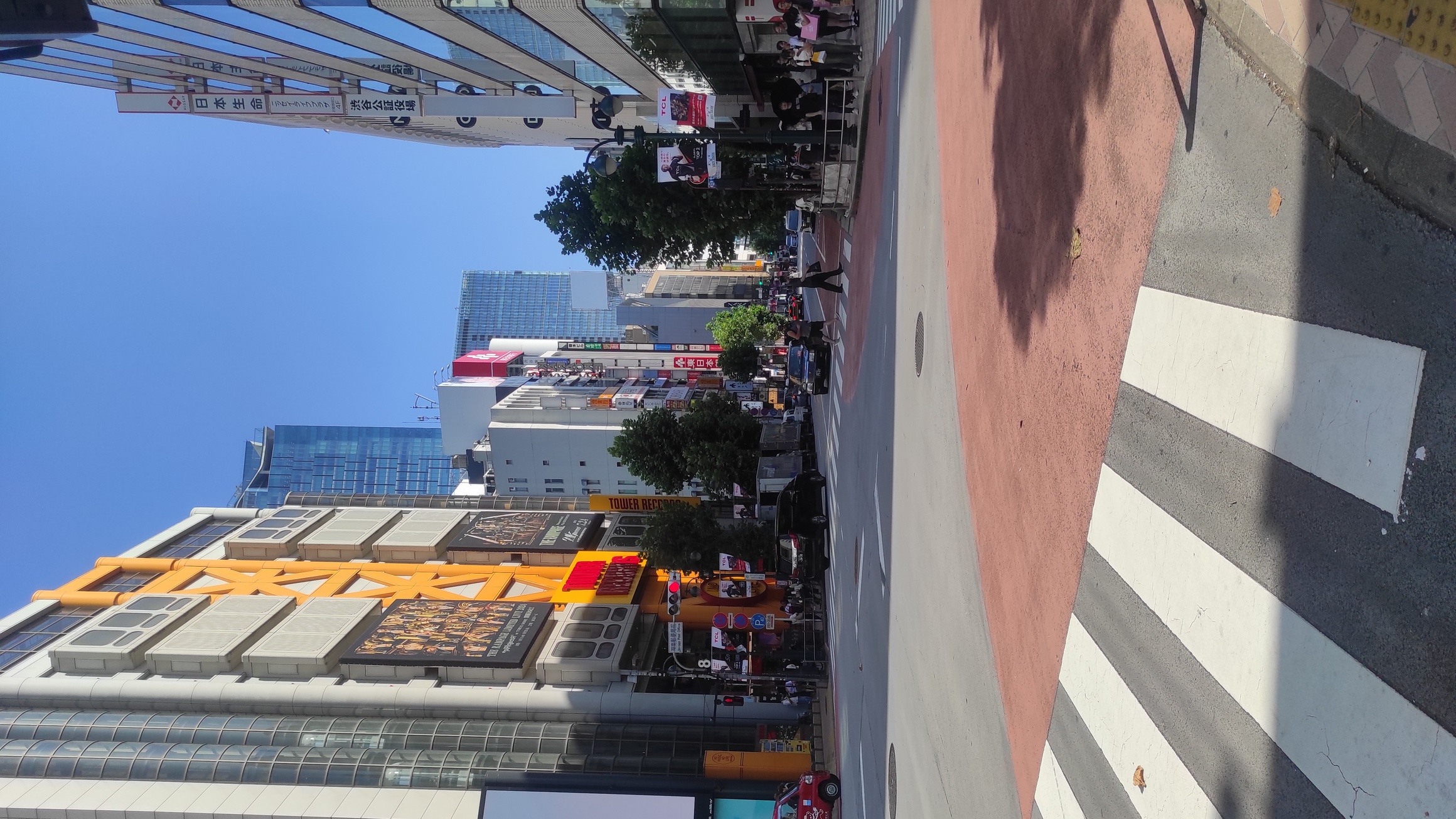 img_20240803_150328.jpg