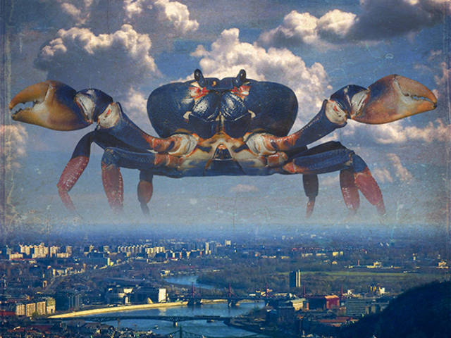 25 szemöldökfelvonó kép Budapestről