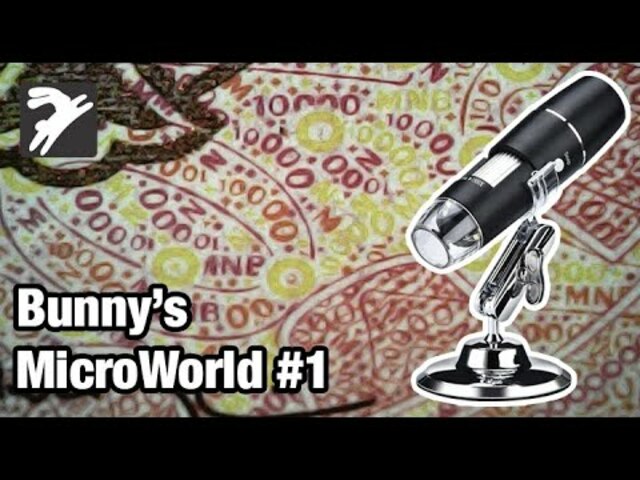 Mikroszkóp alatt #1 - Bunny's MicroWorld