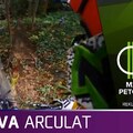 MTVA arculati elemek – REKLÁM animáció (Saját munka)