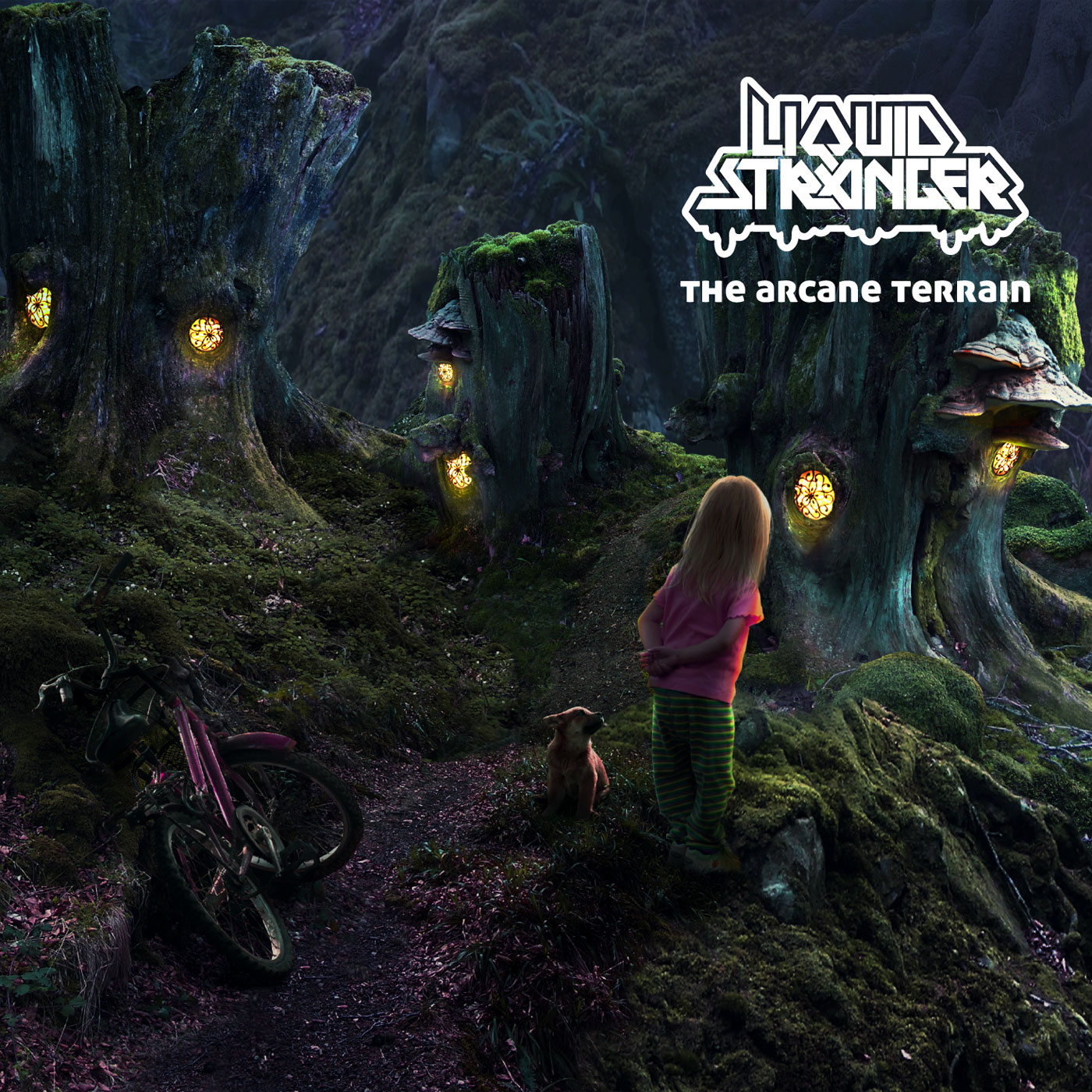 Liquid_Stranger-The_Arcane_Terrain-(ICHILLCD042)-WEB-2011.jpg