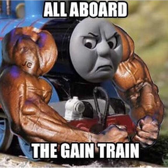 gaintrain.jpg