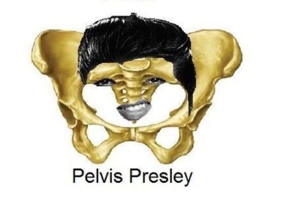 pelvis.jpg