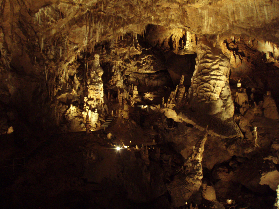 A Baradla-barlang nem csak zoológiai szempontból izgalmas, de látványnak sem utolsó. Fotó: Forró László