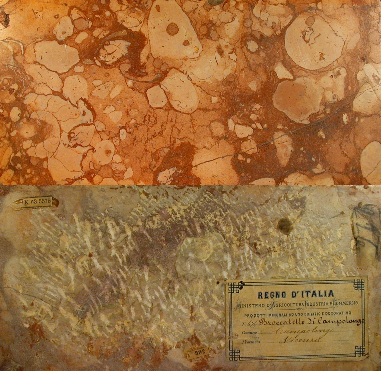 Mészkő „márvány” a II. Viktor Emánuel által adományozott olasz díszítőkő-gyűjteményből