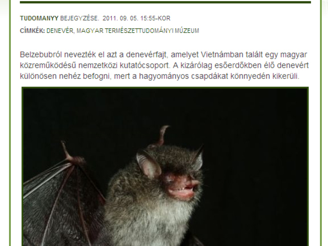 Csorba Gábor kollégánk, az Emlősgyűjteményének vezetője új denevérfajt fedezett fel egy vietnámi erdőben