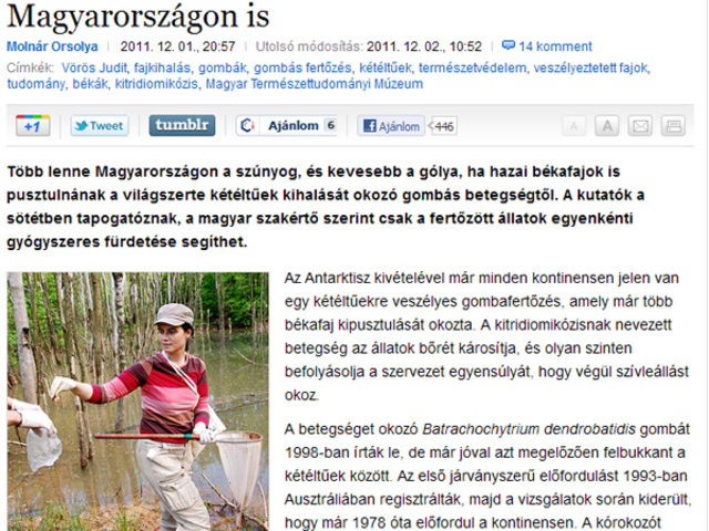 Molnár Orsolya: Világméretű békakórtól tartanak Magyarországon is