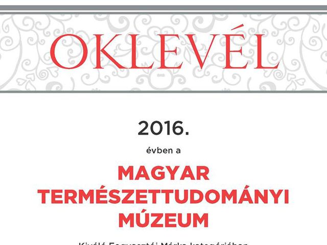 Magyar Brands díjat nyert a múzeum