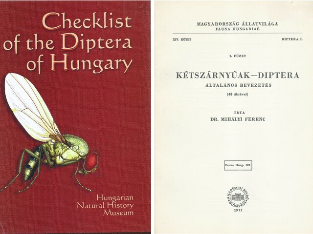 Bevezetés a lószúnyogok (Tipulidae) világába II.