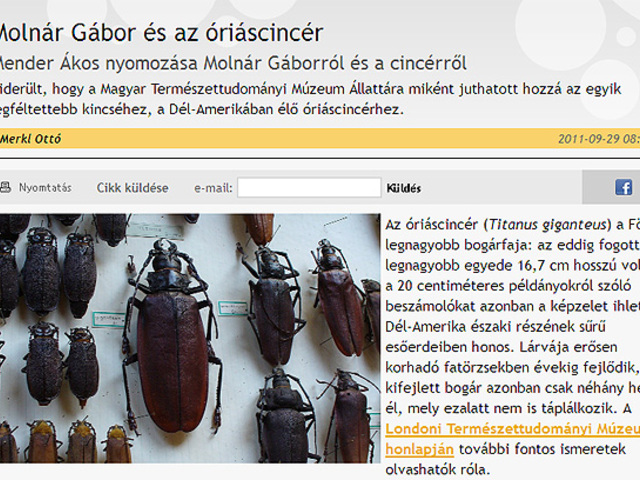 Molnár Gábor és az óriáscincér