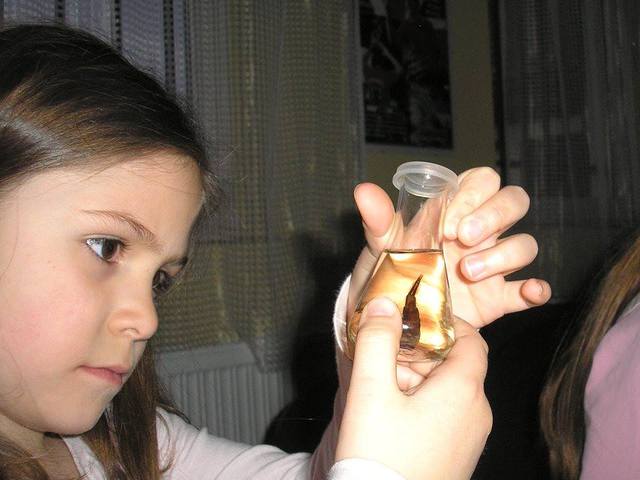 A Víz Világnapját ünnepeltük Zircen