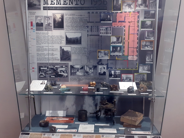 A Természettudományi Múzeum 1956-os katasztrófája és a propaganda