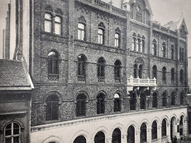Az 1956-os tűzvész túlélői a Légygyűjteményben. Nevezetes példányok