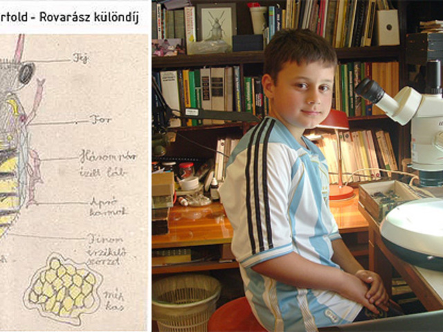 Harsányi Bertold a Rovarok Rajzpályázat különdíjasa  a Bogárgyűjteményben járt