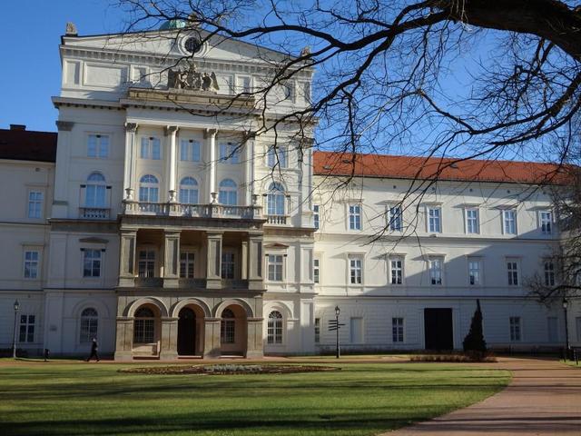 50 éves a Bakonyi Természettudományi Múzeum