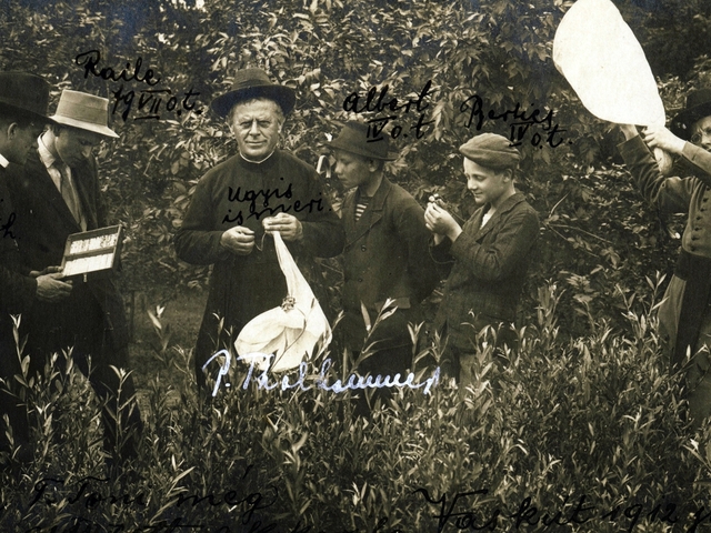 Mária Terézia lepkészkedő jezsuitái