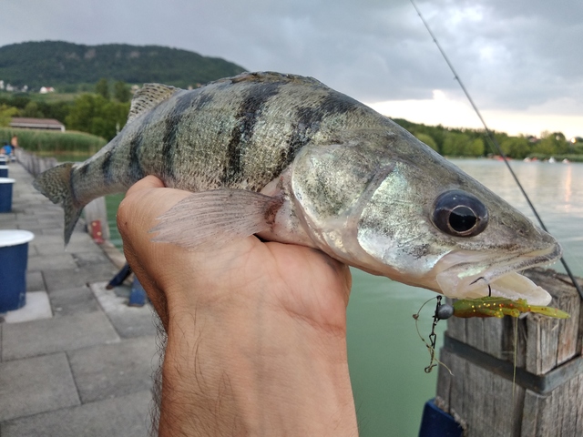 Kősüllők a mélyben
